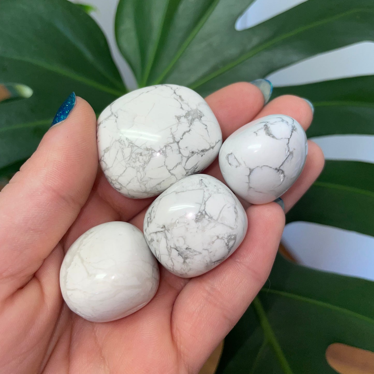 Howlite Tumble