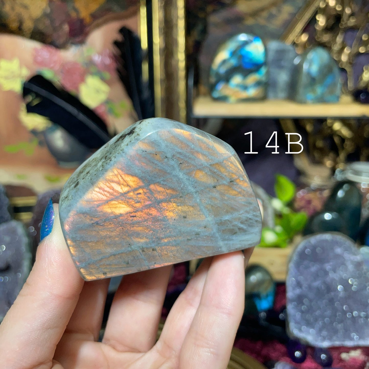 Labradorite Freeforms (Purple/Pink flash)