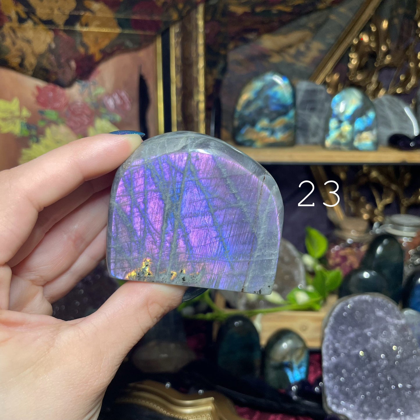 Labradorite Freeforms (Purple/Pink flash)