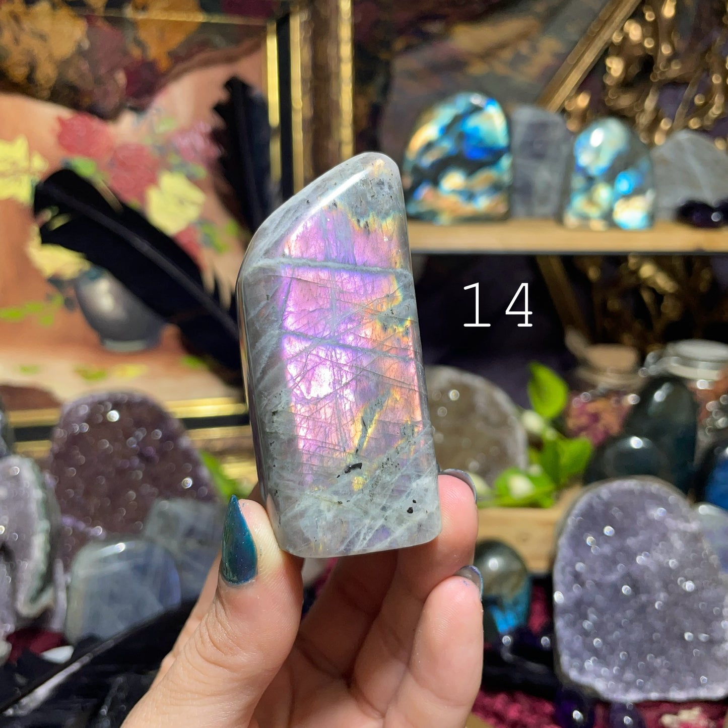 Labradorite Freeforms (Purple/Pink flash)