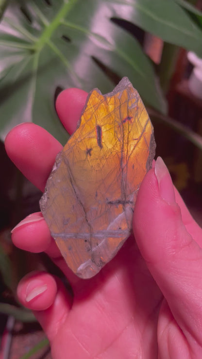 Labradorite Slabs