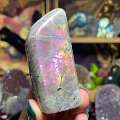 Labradorite Freeforms (Purple/Pink flash)