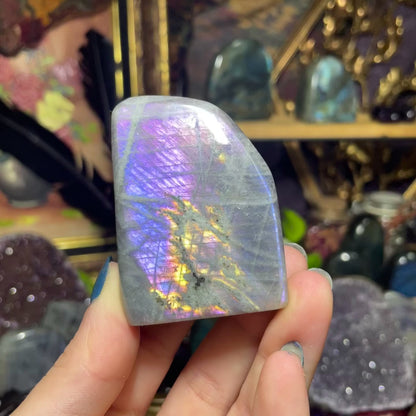Labradorite Freeforms (Purple/Pink flash)