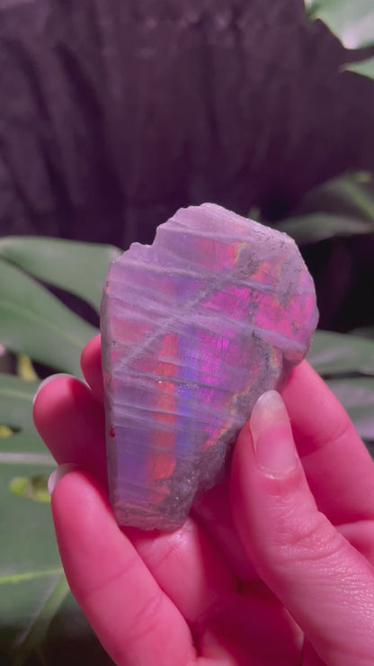 Labradorite Slabs