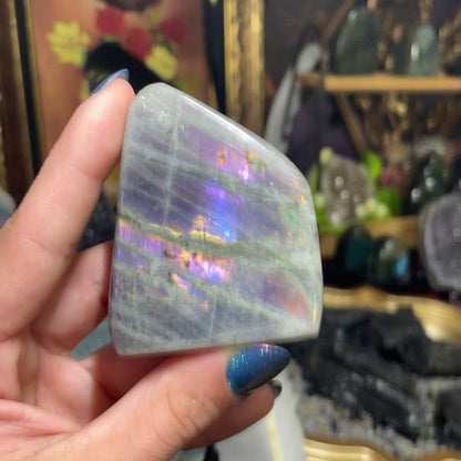 Labradorite Freeforms (Purple/Pink flash)
