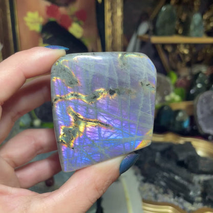 Labradorite Freeforms (Purple/Pink flash)